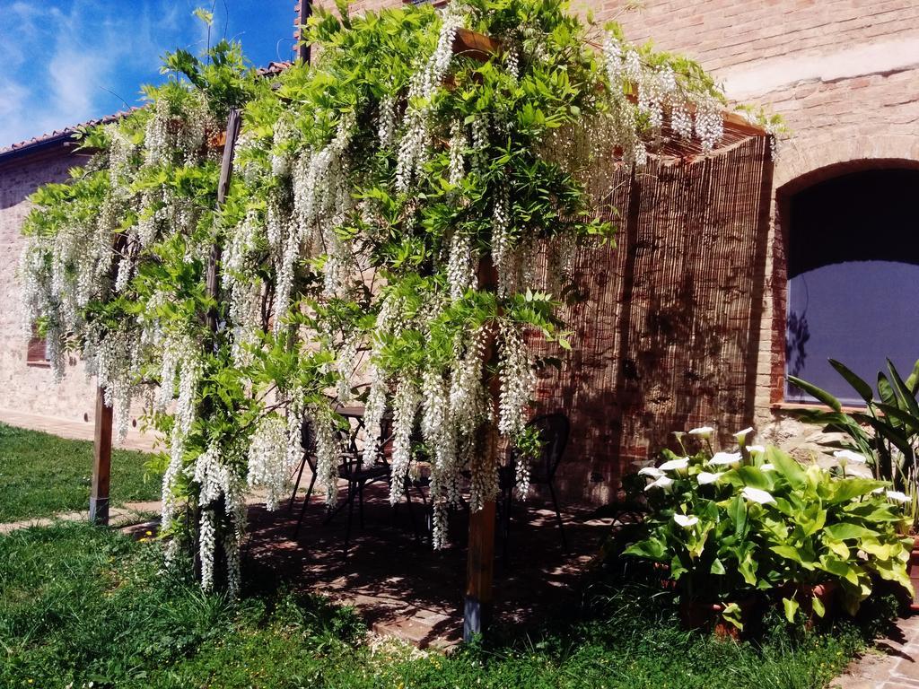 Villa La Fornace Di San Galgano Frosini Exterior foto